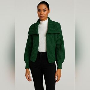 TALBOTS Chunky Knit Wide Collar Cardigan